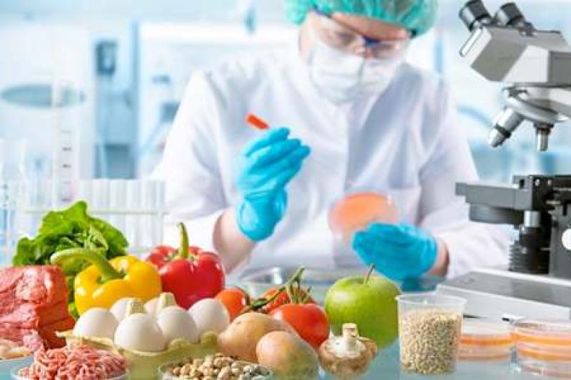 O futuro da gastronomia